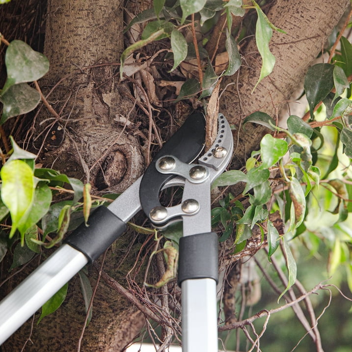 Paddsun Pruning Shears, 28 inch Extendable Branch Cutter Tree Pruner Thick Branches Cutting Garden Loppers for Gardening