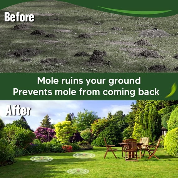 Paddsun Mole & Gopher Deterrent Balls for Yard, Plant-Based Outdoor Scent Barrier Safe Around People Pets & Plant to Keep Vole Groundhog Out of Lawn Yard Garden-12P
