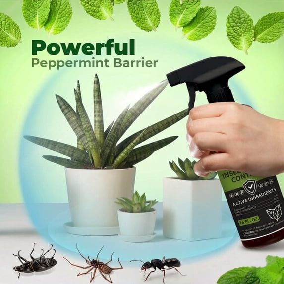 Paddsun Peppermint Oil Insect Traps Spray – Indoor & Outdoor Bug Control for Spiders Ants and More – Plant-Based Extra-Strong Formula - 16 oz